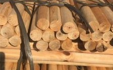 2米松木一立方等于多少吨？两米松木杆