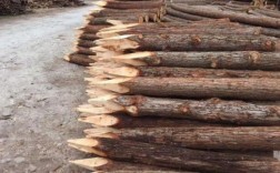 云南哪个地方杉木树最多5米长6公分大多少钱？旧杉木料出售