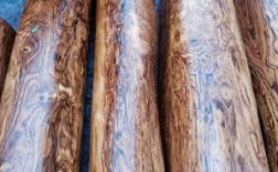 中国最贵的木头家具是什么木材？中国贵重的木料