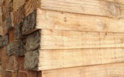 什么木头有放射性？生产辐射松木材