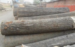 2023临沂木材市场杨木价格？山东 木料