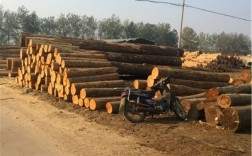 沁阳市哪里有收旧木头？2019木材多少钱一吨