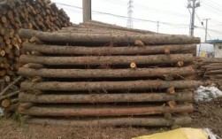 一吨松木有多少斤？松木片的绝干吨是多少