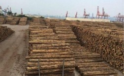 厂家收购木材多少钱一吨？普通干木材价格多少