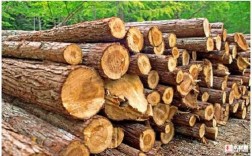 木头在生物学中叫什么？( )的木料
