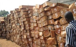 越南木材靠近哪个港口？越南木料批发