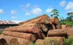 哪些贵重木材从东南亚进口？哪个港口进口非洲木料