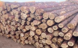 木材加工厂怎么找销路？采购杉木信息