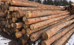 俄罗斯木材品质？俄罗斯冷松木