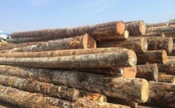 工地里的木头是什么？加松木材进口