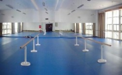 舞蹈室的地板（舞蹈室的地板结构图cad）