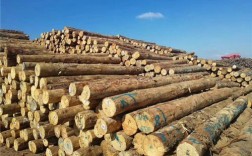 东北产哪种木材料？2018东北松木价格