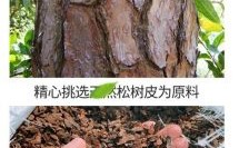 松树皮原料产地？思茅松木材价格