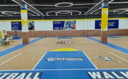 室内地板篮球场（室内地板篮球场效果图）