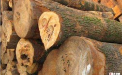 全球十大最名贵木材有哪些？木料哪里价格高