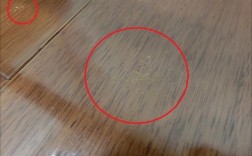 木地板为什么会有虫子（木地板有蛀虫是什么原因）