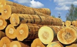 木材是可再生资源吗？木料发展过程