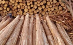 揭阳新亨镇木材市场杉木价格？中国杉木价格