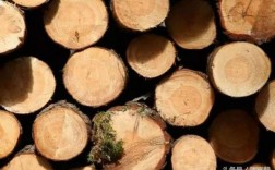 五公分粗的湿木头多长时间能干？木料烘干需要多久
