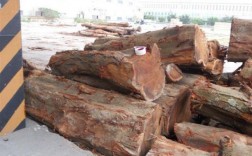 福建最贵木材？台湾木料市场