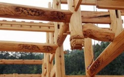 古代富户建房子用什么木材？古代建筑木料