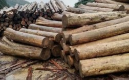 原木和碳化的木制品哪个好？杉木 锯材 图片