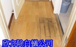 实木地板除虫（实木地板除虫方法）
