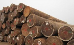 2023年海南天然橡胶集团土地租金怎么涨这么多？收购海南橡胶木原木多少钱一吨