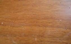 实木地板虫蛀（实木地板虫蛀的照片）
