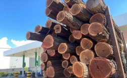 澳大利亚木材种类？木制品木料