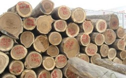 哪些贵重木材从东南亚进口？非洲进口木料