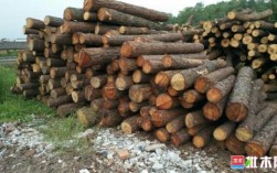 油松木材能做什么家具?哪有要油松木条的？油松木料用途
