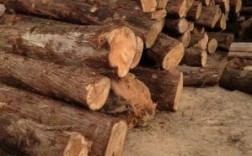 柏木，木材哪里有卖的？重庆柏木木材价格多少