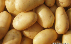 一亿个土豆够五个人吃多少天？土豆废料多少钱