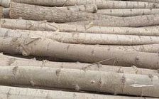 国内最便宜的木头品种多少钱一吨？新疆白杨树木材多少钱一方