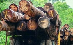 在越南进口橡胶关税多少钱？中国出口越南木材关税多少