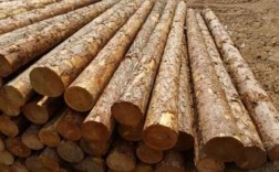 2021回收木屑多少钱一吨？松木原木价钱
