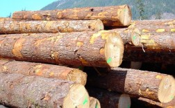 pakkawood是什么木？福建新西兰铁杉木