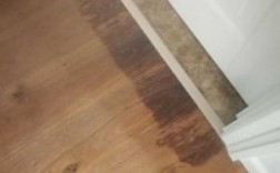 卫生间门口的木地板（卫生间门口的木地板发黑怎么回事）