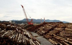 世界上最大的木材出口国？中国购买日本的木材有多少吨