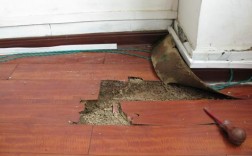 木地板防白蚁（木地板防白蚁处理方案）