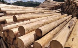 广东哪里大量收购杉木方？全国杉木加工市场