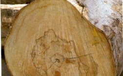朴树木材可以做家具吗？朴树木料价格