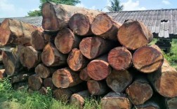 缅甸木材的种类有哪些？泰国出口中国有多少种木材