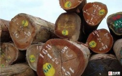 十大硬木排名？南非木料排名