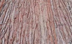 树皮地板（树皮铺地的施工方法）