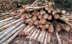 2023年一吨桉树木材价格？广西废木料回收
