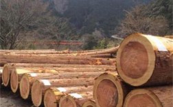 进口木材十大排名？日本木材进口和出口多少