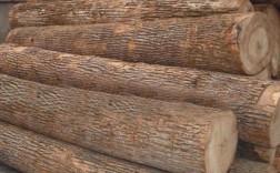俄罗斯最贵的木材？俄罗斯有多少品种木材