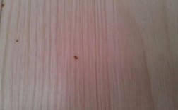 木地板有虫吗（木地板有虫子吗）